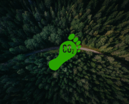 6 6