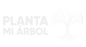 Planta Mi Arbol 350x175