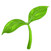 Plant Icon